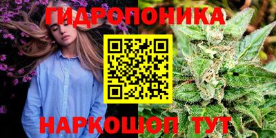 индика Кулебаки
