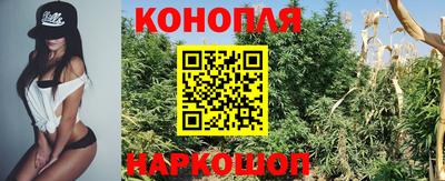 индика Кулебаки